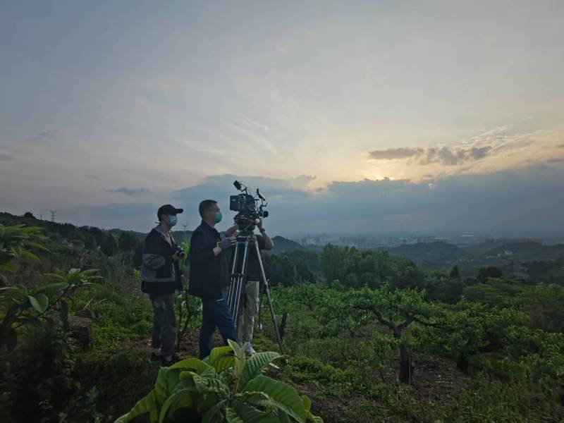 创意破圈！高州市电商产品宣传视频用故事化叙事引爆流量